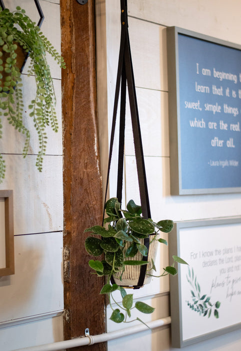 Leather Plant Hanger