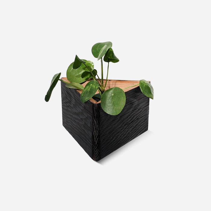 Triangle Self-Watering, Wall-Mounted Planter