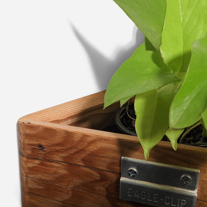 Triangle Self-Watering, Wall-Mounted Planter